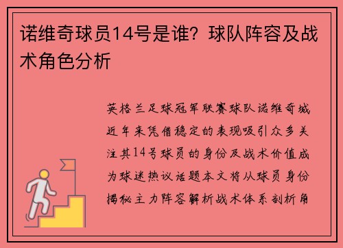 诺维奇球员14号是谁？球队阵容及战术角色分析